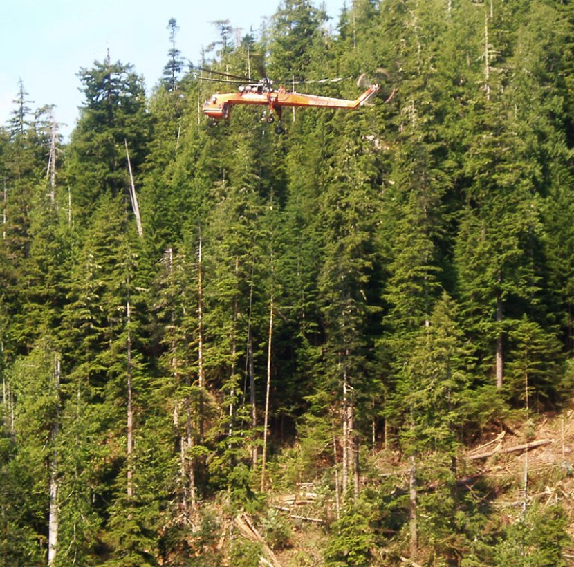 High retention logging